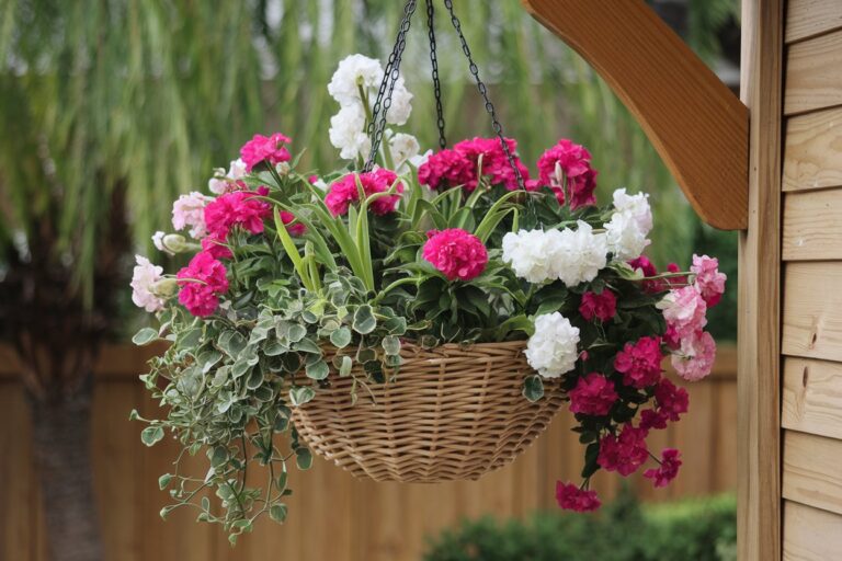 13 Charming Hanging Basket Ideas to Elevate Your Porch Decor